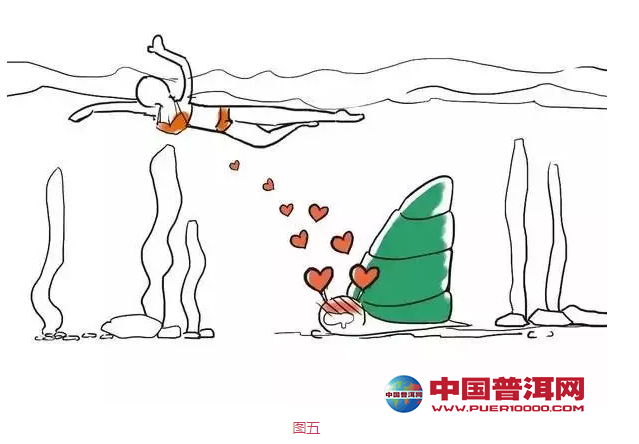 <u><a href='http://www.puer10000.com/puerzhishi/32854.html' target='_blank'>ն</a></u>