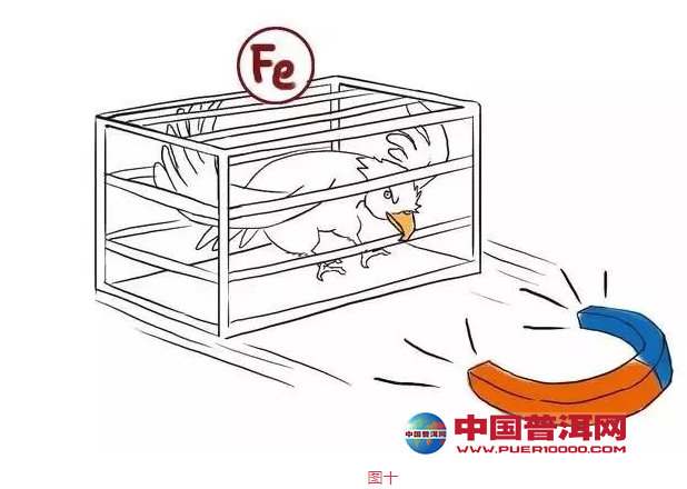 <u><a href='http://www.puer10000.com/puerzhishi/32854.html' target='_blank'>ն</a></u>