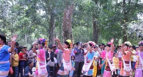 普洱茶