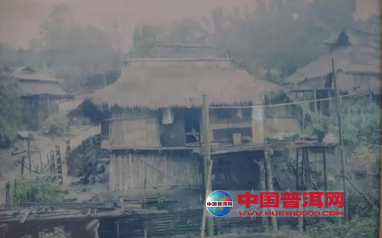 普洱茶