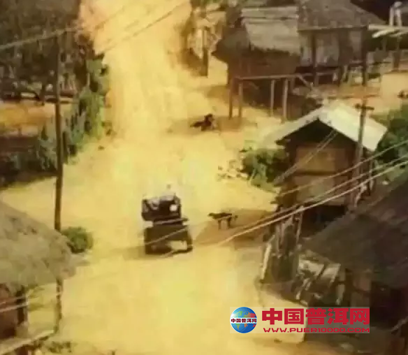 普洱茶
