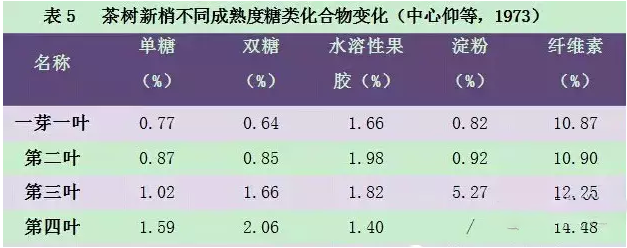 <u><a href='http://www.puer10000.com/puerzhishi/32854.html' target='_blank'>ն</a></u>