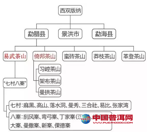 普洱茶