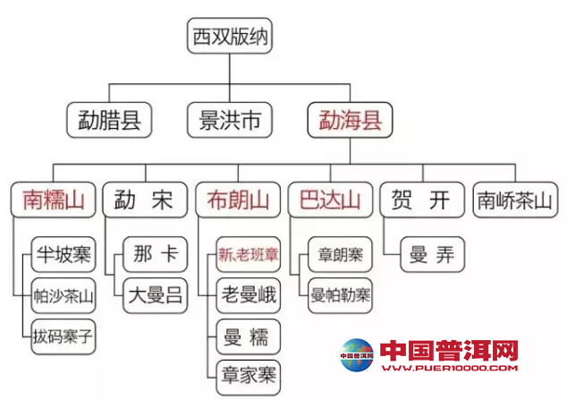 普洱茶