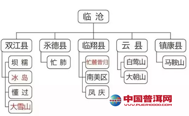 普洱茶