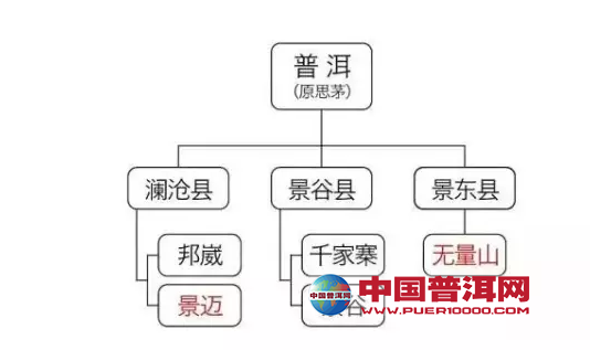 普洱茶