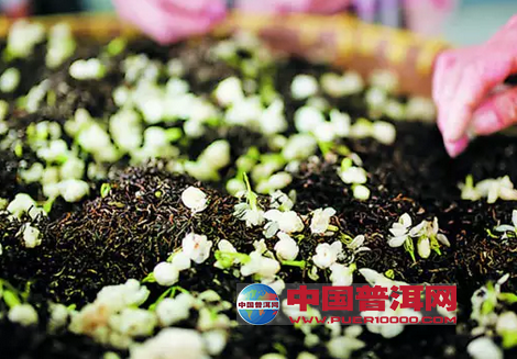 <u><a href='http://www.puer10000.com/puerzhishi/32854.html' target='_blank'>普洱<u><a href='http://www.puer10000.com/puerzhishi/100997.html' target='_blank'>茶</a></u></a></u>