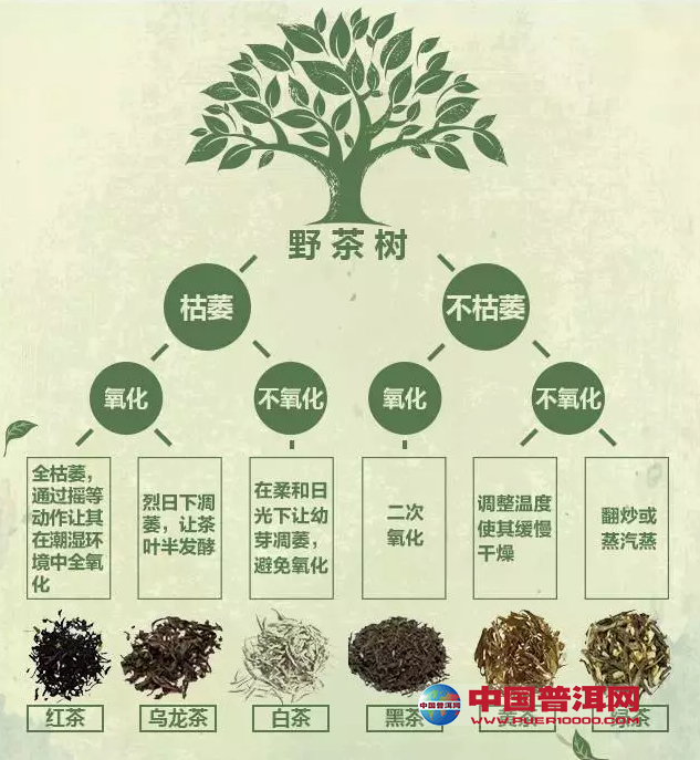 <u><a href='http://www.puer10000.com/puerzhishi/32854.html' target='_blank'>ն</a></u>