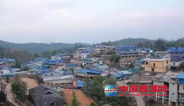 普洱茶