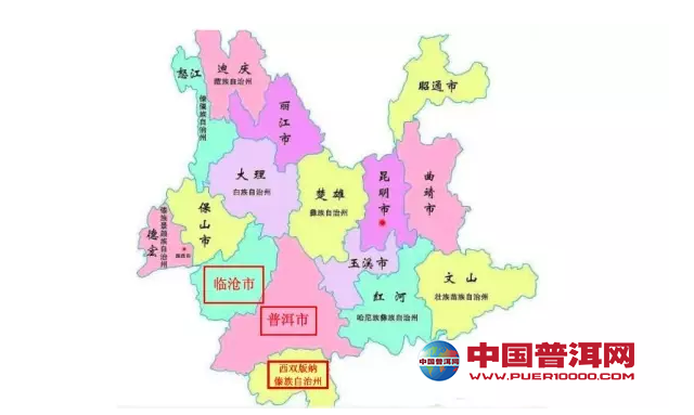 普洱茶