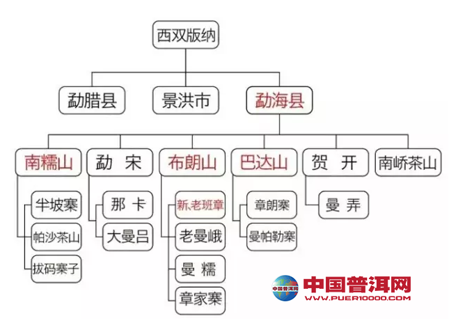 普洱茶