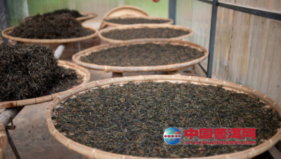 普洱茶原料晒青毛茶的制作过程