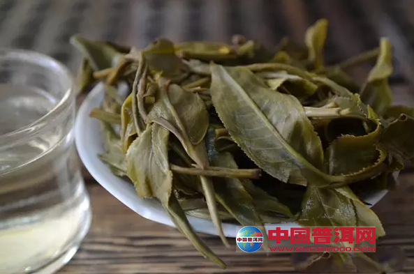 普洱茶