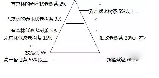 普洱茶