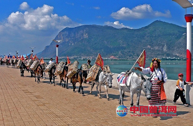 <u><a href='http://www.puer10000.com/puerzhishi/32854.html' target='_blank'>ն<u><a href='http://www.puer10000.com/puerzhishi/100997.html' target='_blank'></a></u></a></u>