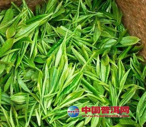 普洱茶