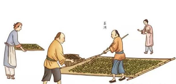 <u><a href='http://www.puer10000.com/puerzhishi/32854.html' target='_blank'>普洱<u><a href='http://www.puer10000.com/puerzhishi/100997.html' target='_blank'>茶</a></u></a></u>