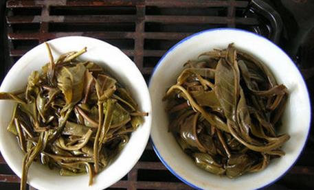 普洱茶