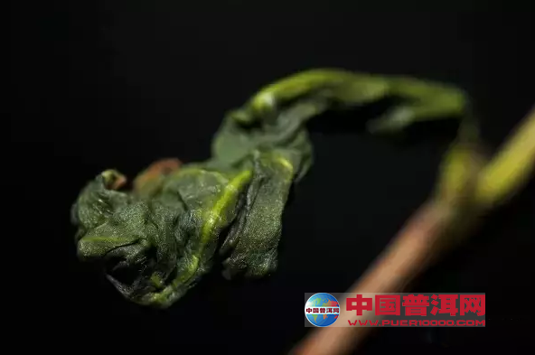 <u><a href='http://www.puer10000.com/puerzhishi/32854.html' target='_blank'>普洱<u><a href='http://www.puer10000.com/puerzhishi/100997.html' target='_blank'>茶</a></u></a></u>