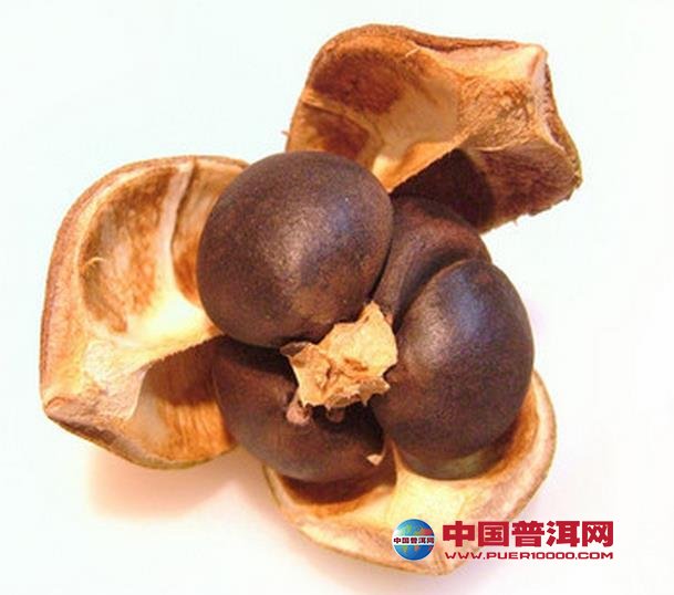 普洱茶