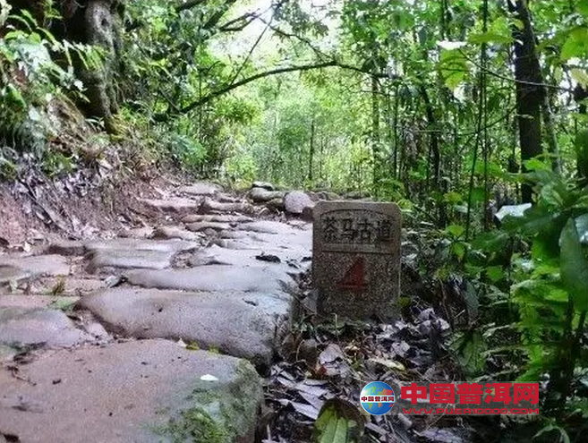 <u><a href='http://www.puer10000.com/puerzhishi/32854.html' target='_blank'>普洱<u><a href='http://www.puer10000.com/puerzhishi/100997.html' target='_blank'>茶</a></u></a></u>