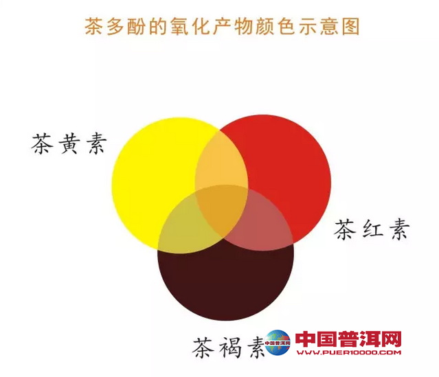 普洱茶