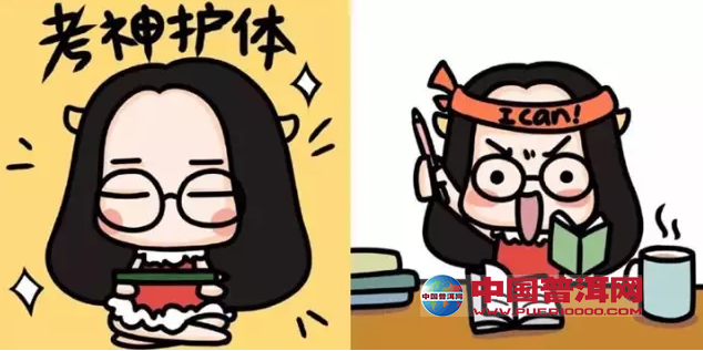 普洱茶
