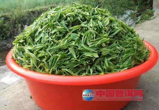 普洱茶