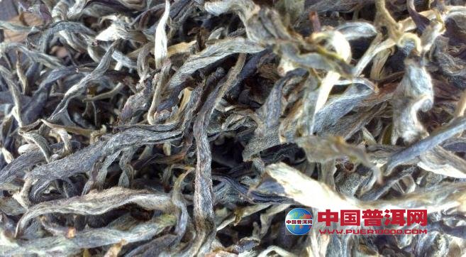 普洱茶