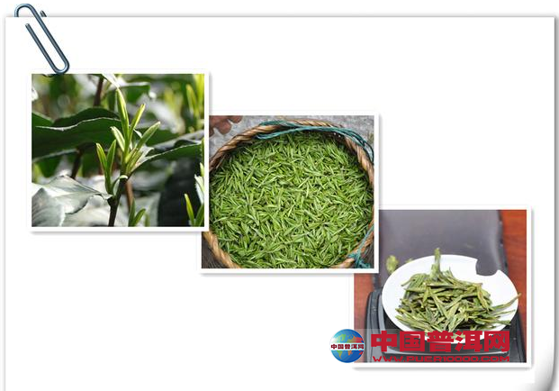 普洱茶