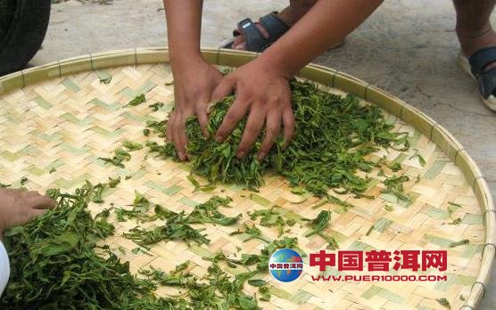 普洱茶
