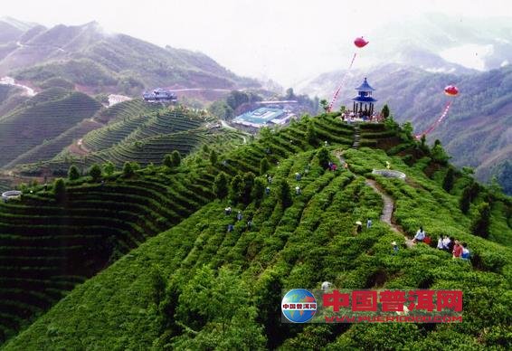 <u><a href='http://www.puer10000.com/puerzhishi/32854.html' target='_blank'>普洱<u><a href='http://www.puer10000.com/puerzhishi/100997.html' target='_blank'>茶</a></u></a></u>