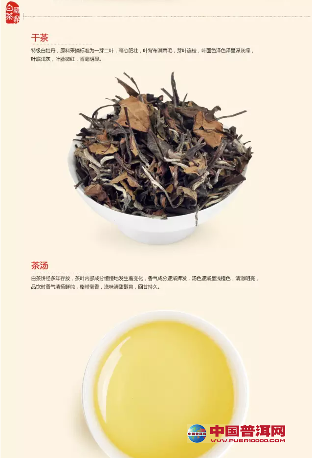 <u><a href='http://www.puer10000.com/puerzhishi/32854.html' target='_blank'>ն</a></u>