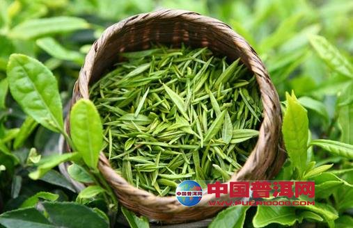 <u><a href='http://www.puer10000.com/puerzhishi/32854.html' target='_blank'>ն<u><a href='http://www.puer10000.com/puerzhishi/100997.html' target='_blank'></a></u></a></u>