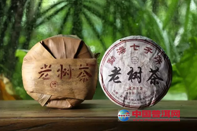 普洱茶