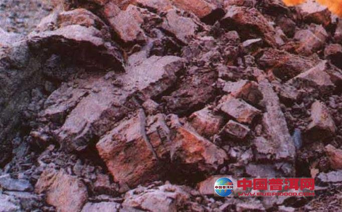 <u><a href='http://www.puer10000.com/puerzhishi/32854.html' target='_blank'>普洱<u><a href='http://www.puer10000.com/puerzhishi/100997.html' target='_blank'>茶</a></u></a></u>