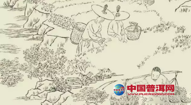 <u><a href='http://www.puer10000.com/puerzhishi/32854.html' target='_blank'>ն<u><a href='http://www.puer10000.com/puerzhishi/100997.html' target='_blank'></a></u></a></u>