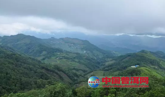 <u><a href='http://www.puer10000.com/puerzhishi/32854.html' target='_blank'>普洱<u><a href='http://www.puer10000.com/puerzhishi/100997.html' target='_blank'>茶</a></u></a></u>