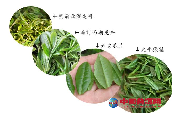 <u><a href='http://www.puer10000.com/puerzhishi/32854.html' target='_blank'>ն<u><a href='http://www.puer10000.com/puerzhishi/100997.html' target='_blank'></a></u></a></u>
