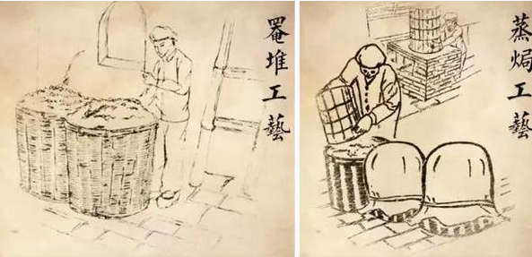 <u><a href='http://www.puer10000.com/puerzhishi/32854.html' target='_blank'>普洱茶</a></u>