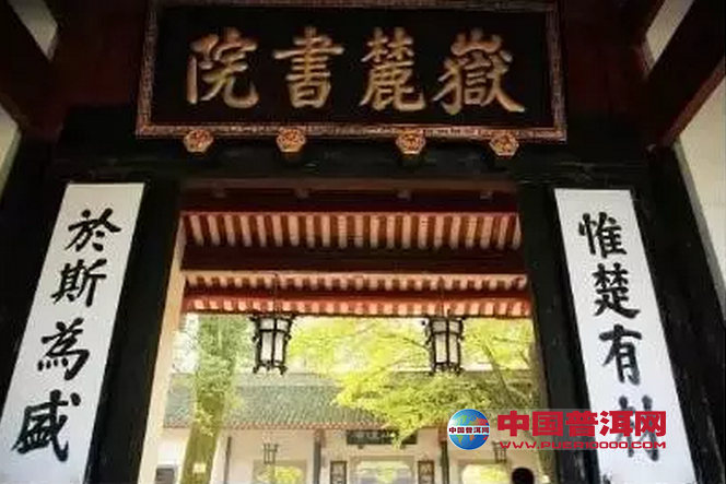 普洱茶