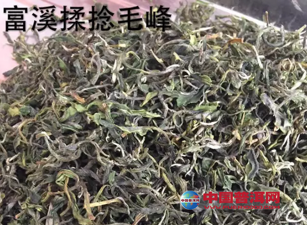 <u><a href='http://www.puer10000.com/puerzhishi/32854.html' target='_blank'>ն</a></u>