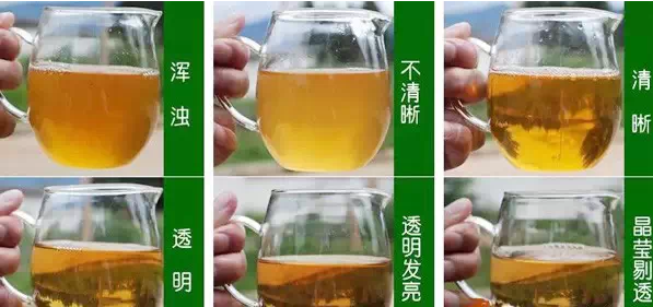 普洱茶