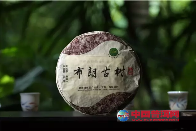 普洱茶