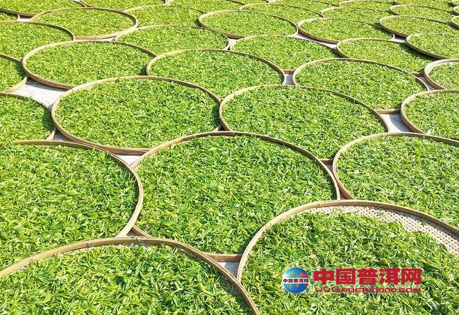 <u><a href='http://www.puer10000.com/puerzhishi/32854.html' target='_blank'>普洱<u><a href='http://www.puer10000.com/puerzhishi/100997.html' target='_blank'>茶</a></u></a></u>