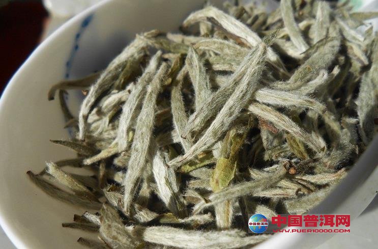 普洱茶