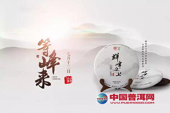普洱茶