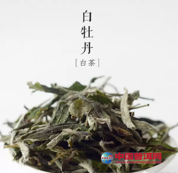 <u><a href='http://www.puer10000.com/puerzhishi/32854.html' target='_blank'>ն<u><a href='http://www.puer10000.com/puerzhishi/100997.html' target='_blank'></a></u></a></u>
