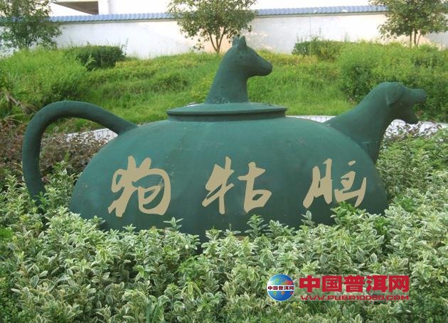 普洱茶