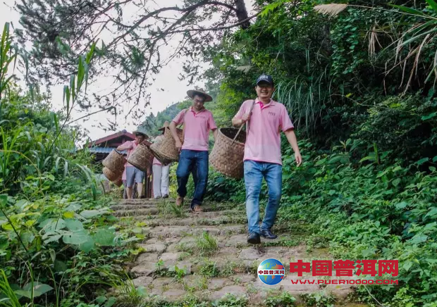 <u><a href='http://www.puer10000.com/puerzhishi/32854.html' target='_blank'>ն<u><a href='http://www.puer10000.com/puerzhishi/100997.html' target='_blank'></a></u></a></u>